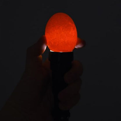 Kerbl Egg Candling Lamp in use