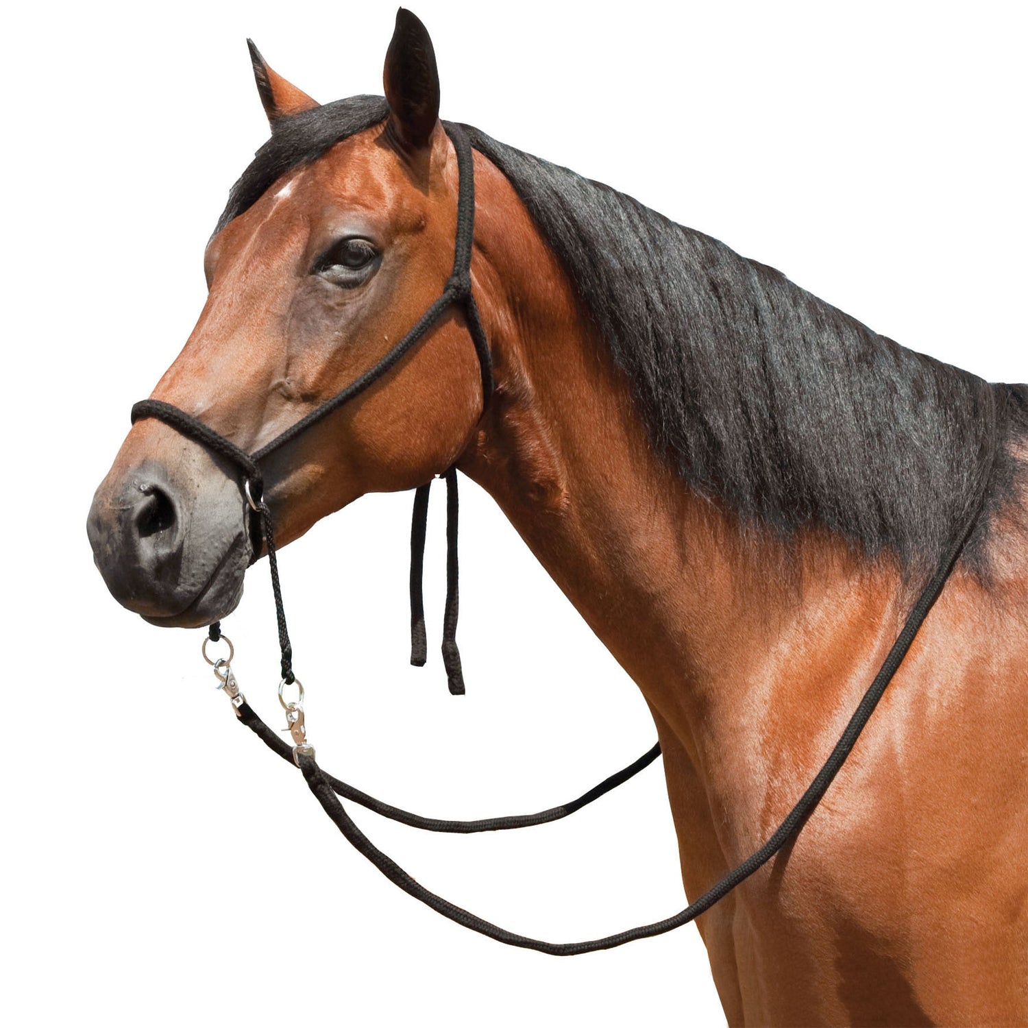 Ezy Ride Bitless Bridle Braided Brush Nylon