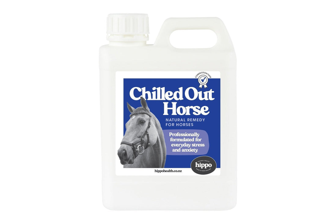 Chilled Out Horse