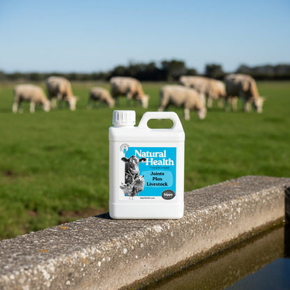 Hippo Health Joints Plus Livestock 1 litre jerry can