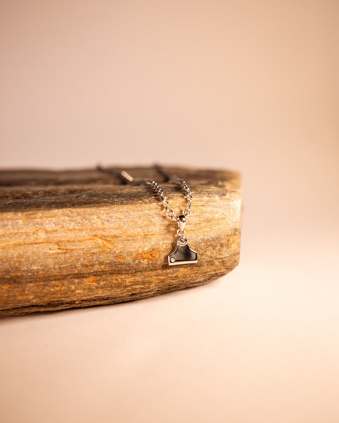 Country Collective Cattle Tag Necklace