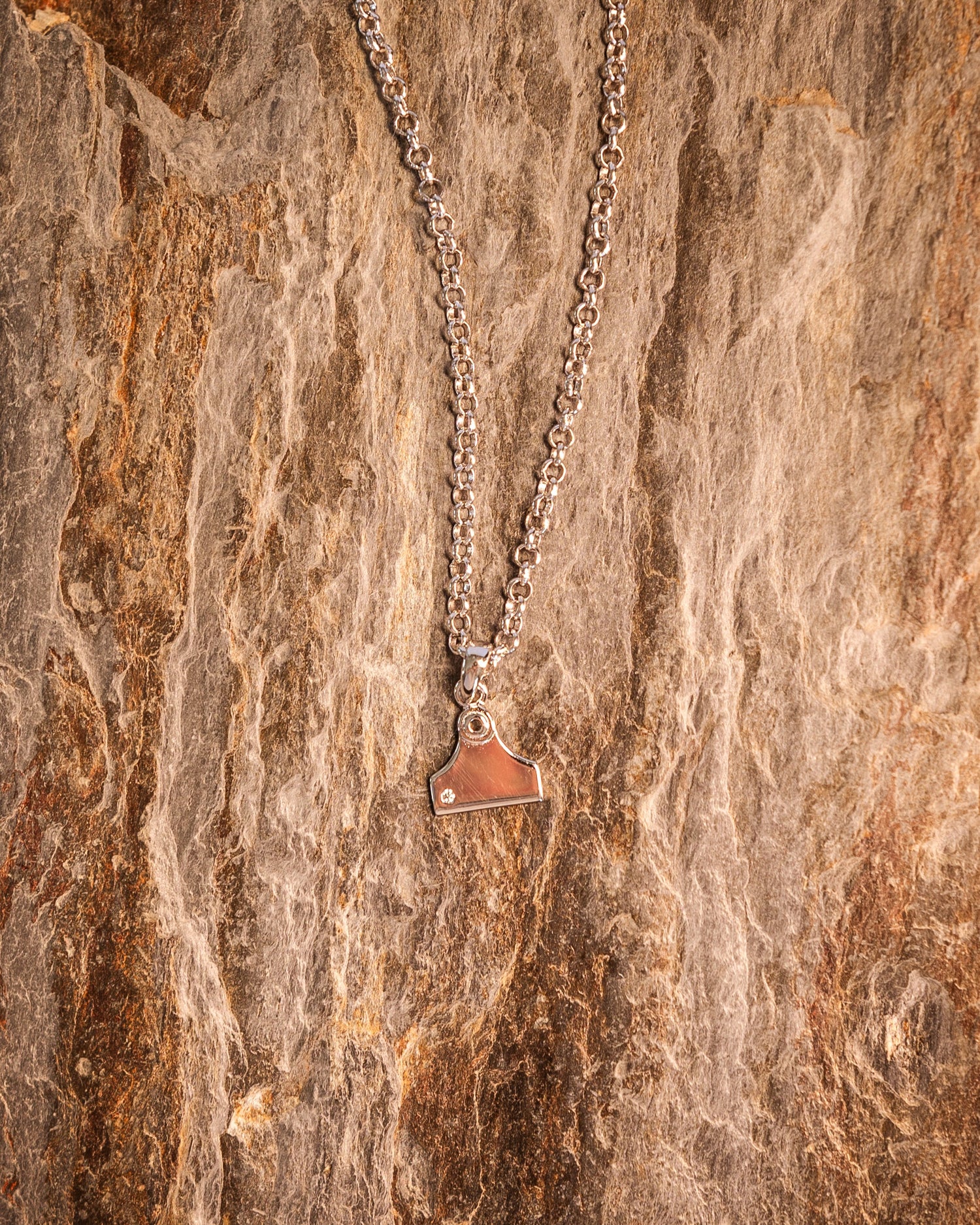 Country Collective Cattle Tag Necklace