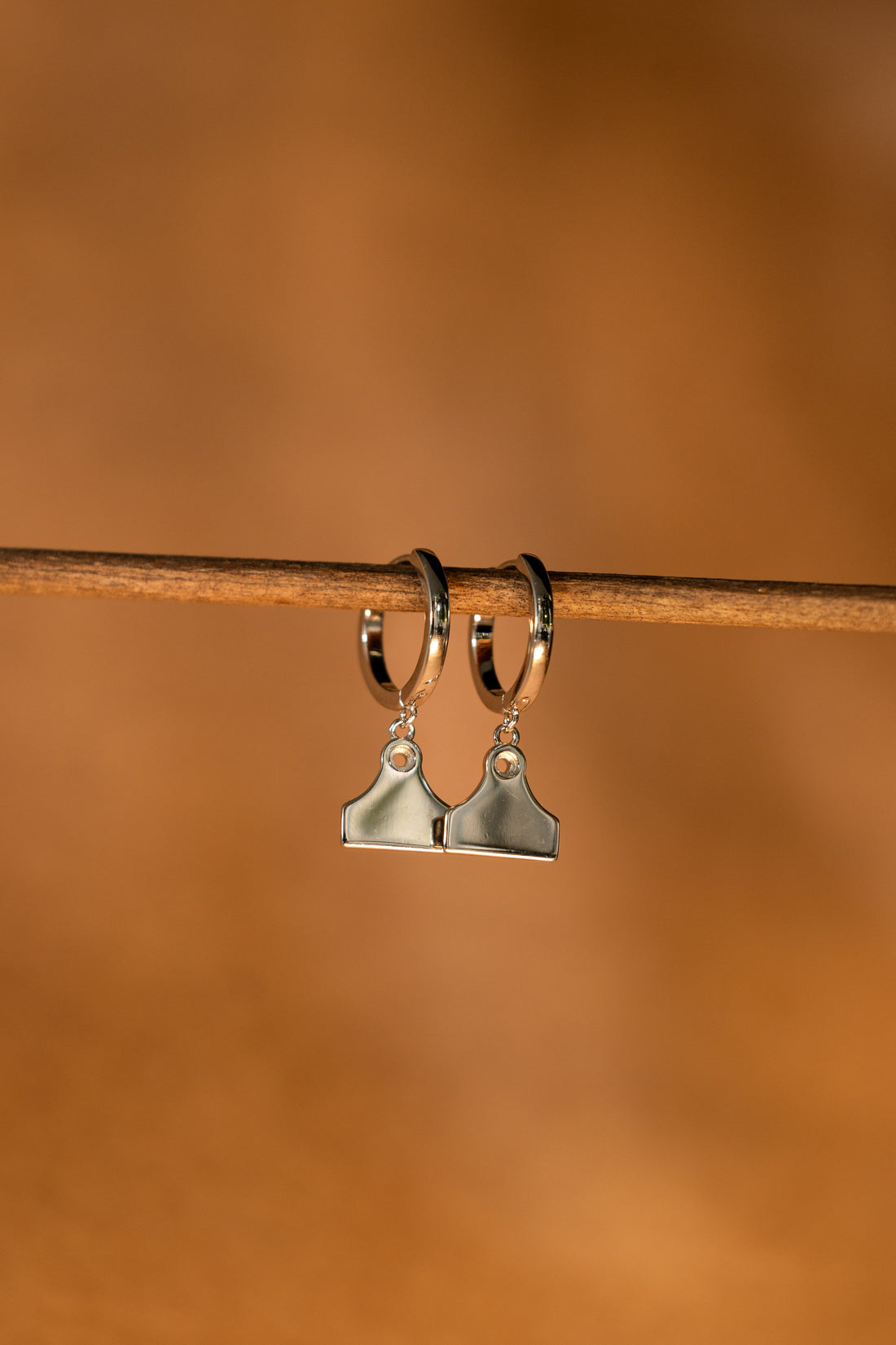 Country Collective Cattle Tag Earrings