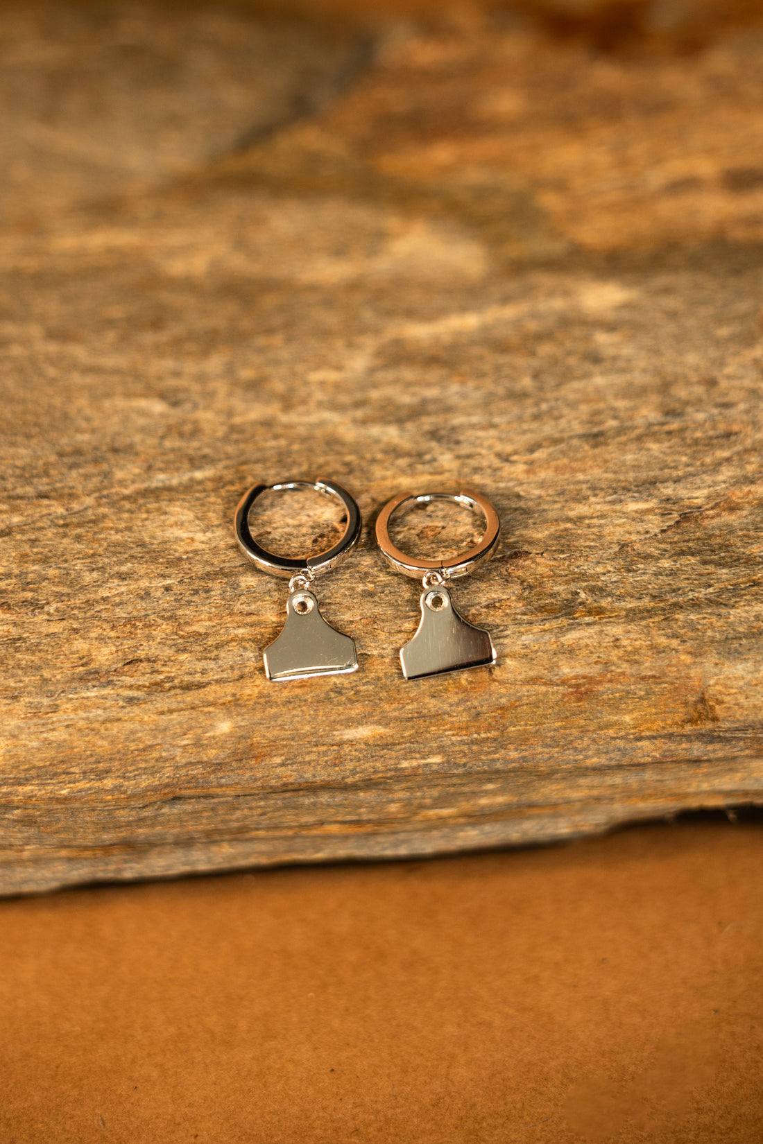 Country Collective Cattle Tag Earrings