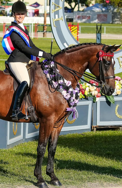 BARE Equestrian Competition Wear Tights