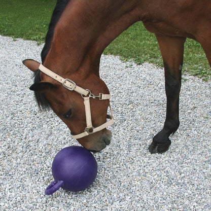 Scented Horse Play Ball in use