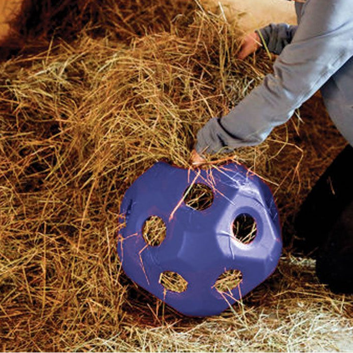 Horse Toy Hayball Blue