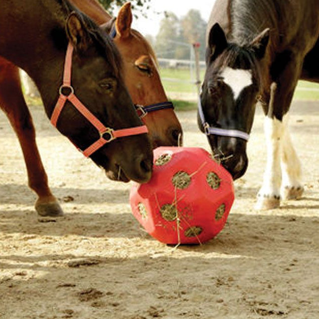 Horse Toy Hayball in use