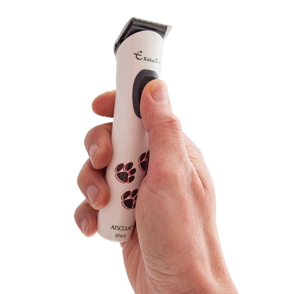 Aesculap Exacta in hand