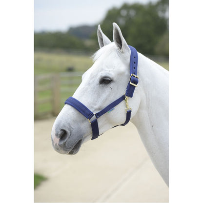 Bucas Comfort Halter