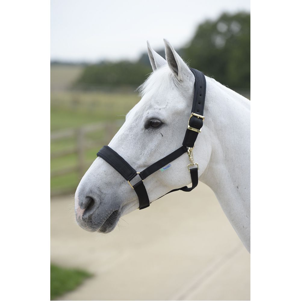 Bucas Comfort Halter