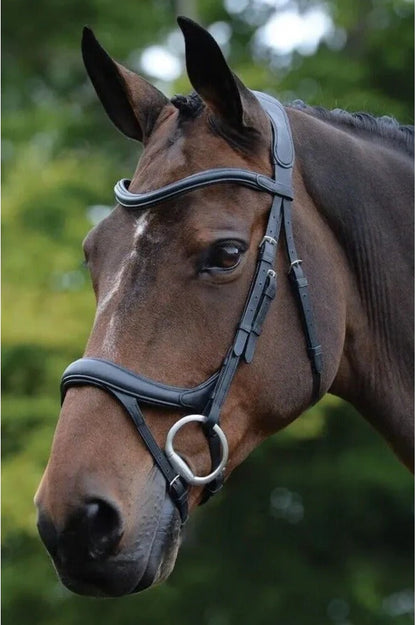 Collegiate Comfitec Vogue Anatomical Bridle