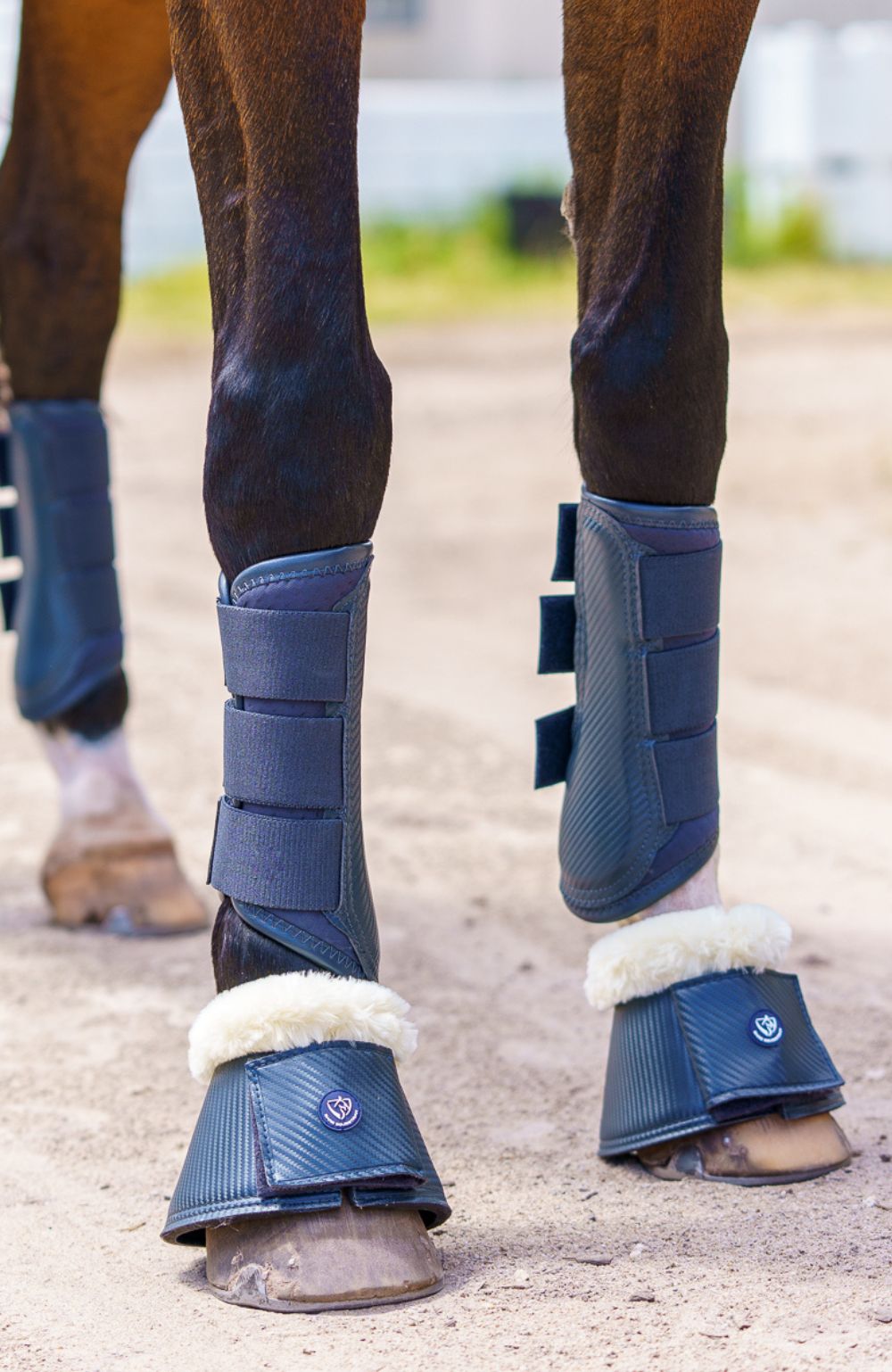 BARE Equestrian Horse Wear AIRFLOW Carbon Brushing Boots