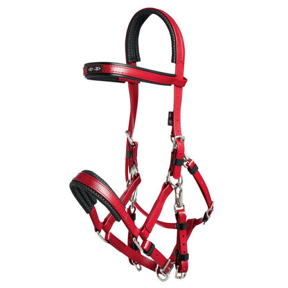 Zilco Marathon Bridle Burgundy