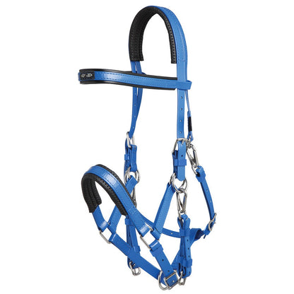Zilco Marathon Bridle Royal Blue