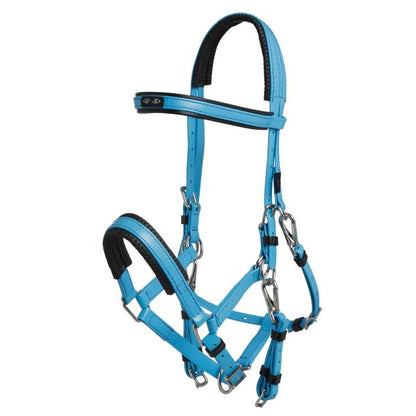 Zilco Marathon Bridle Cyan