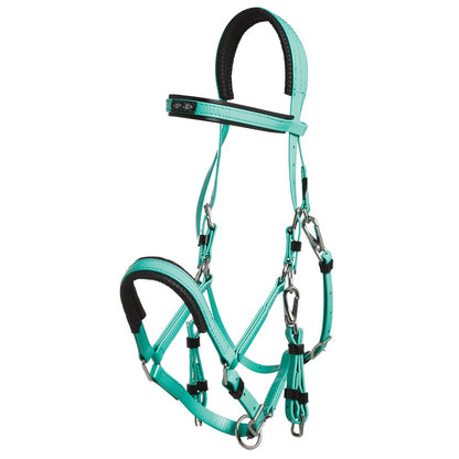 Zilco Marathon Bridle Turquoise