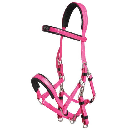 Zilco Marathon Bridle Cerise