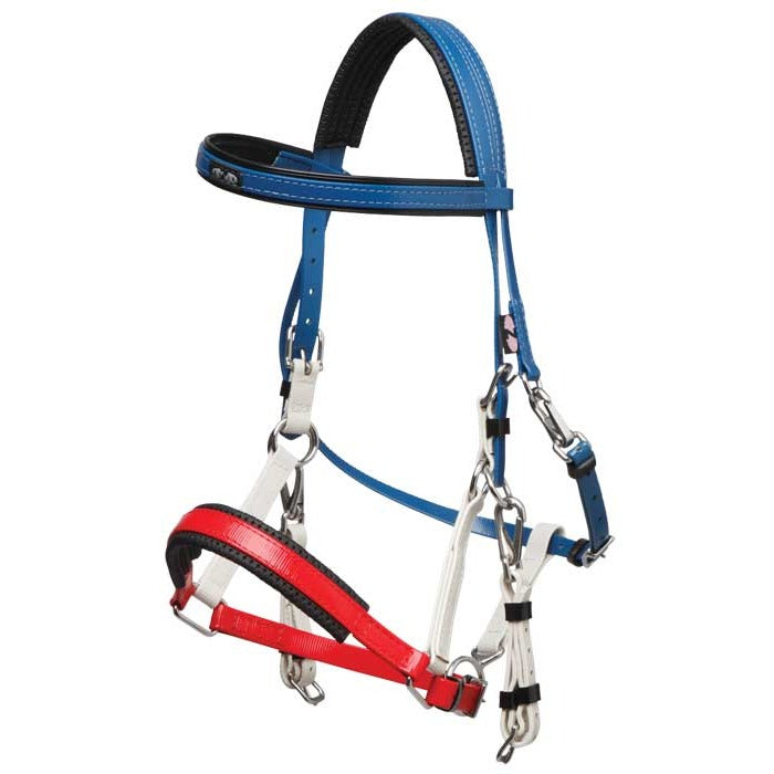 Zilco Marathon Bridle Royal/White/Red