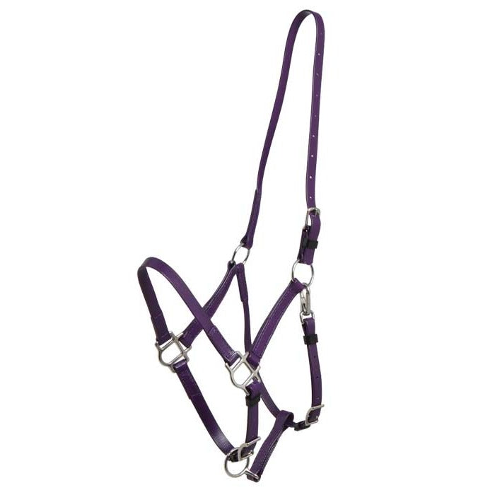 Zilco Deluxe Endurance Halter Purple