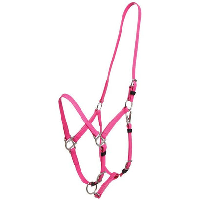 Zilco Deluxe Endurance Halter Cerise