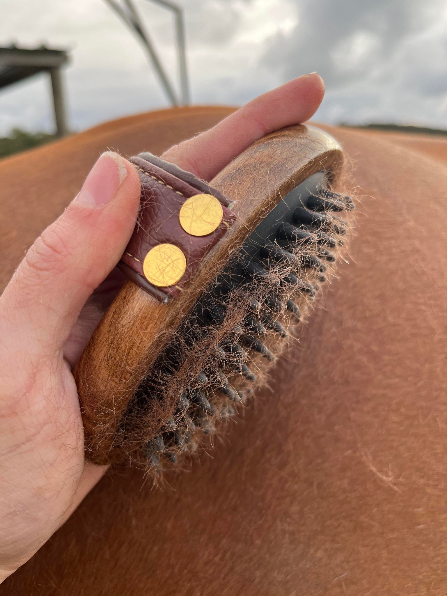 Hairy Pony Rubber Brush