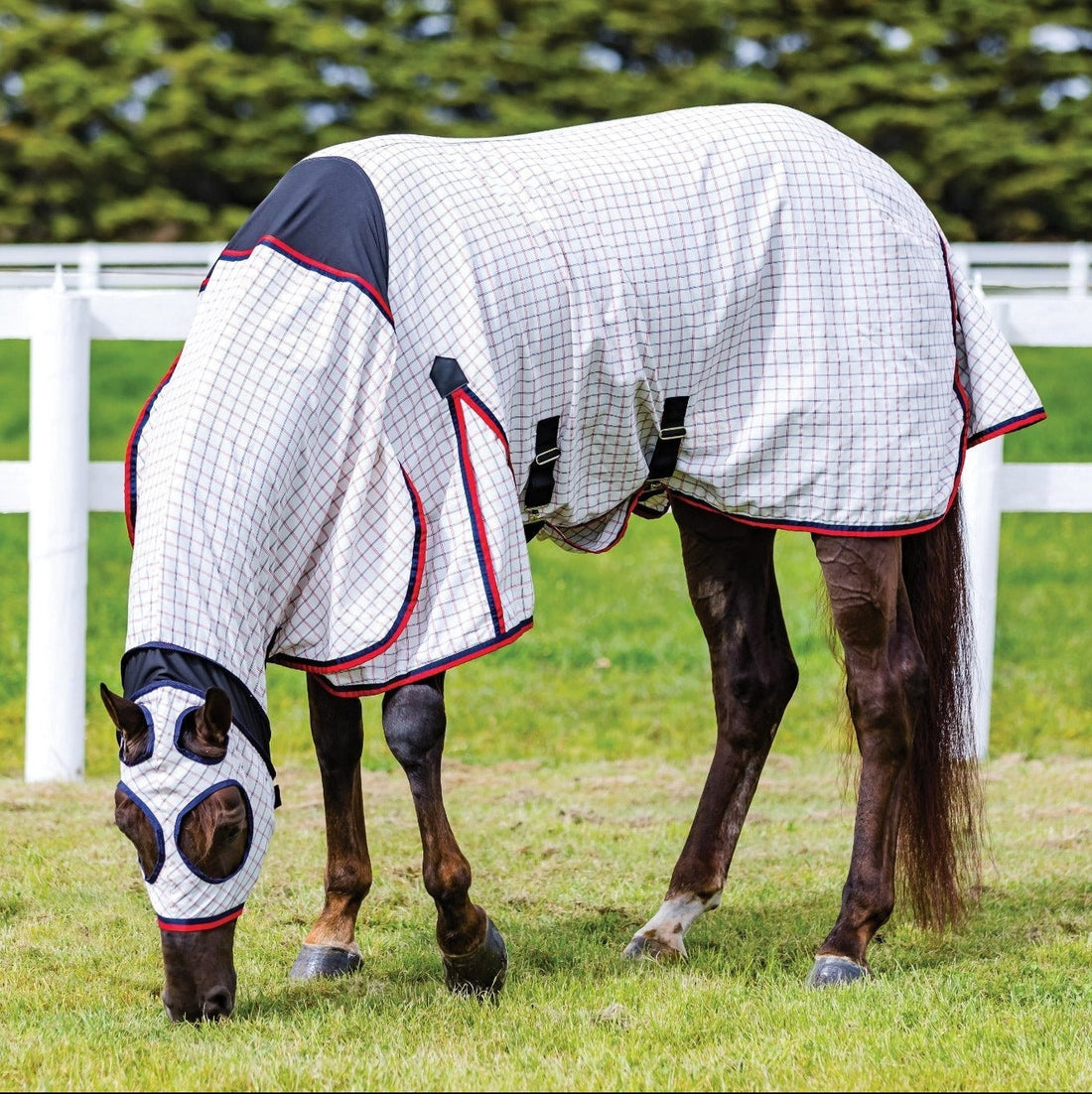 Weatherbeeta Summer Sheet Lite Stretch Hood Combo