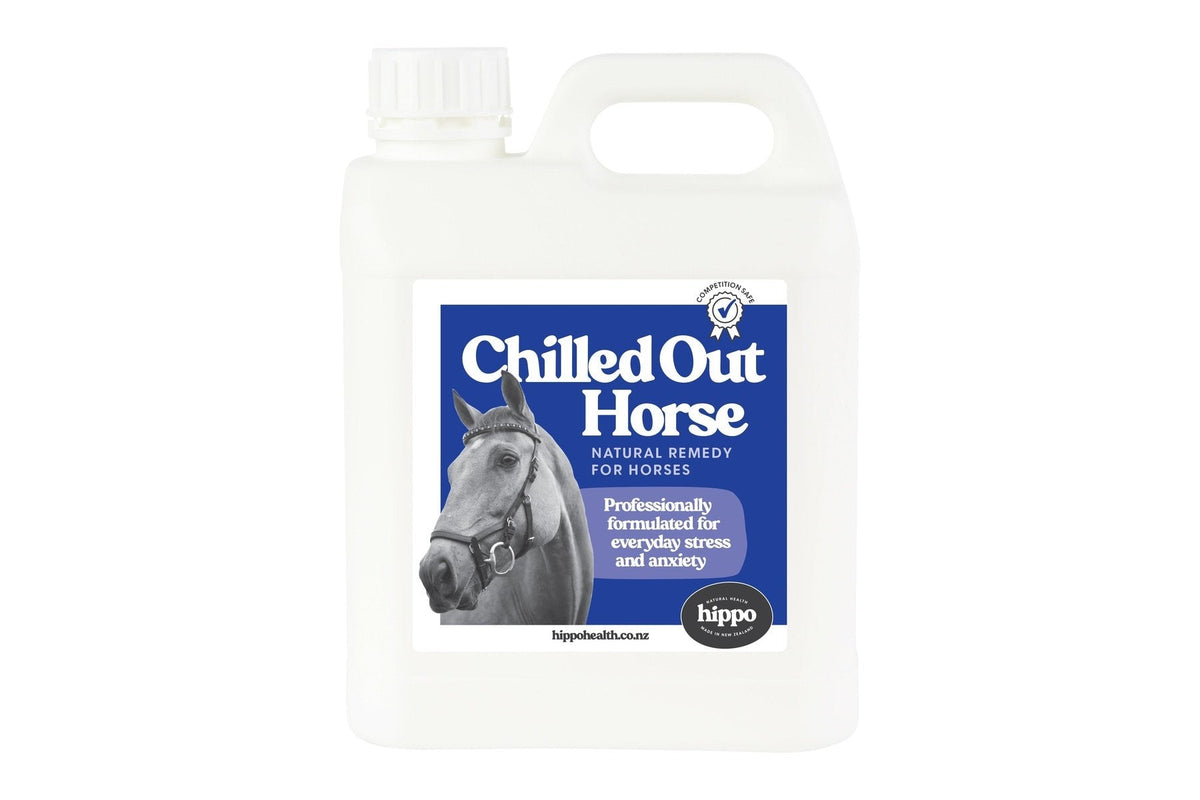 Chilled Out Horse