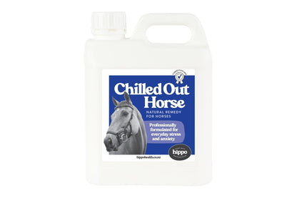 Chilled Out Horse