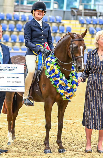 BARE Equestrian Competition Wear Tights
