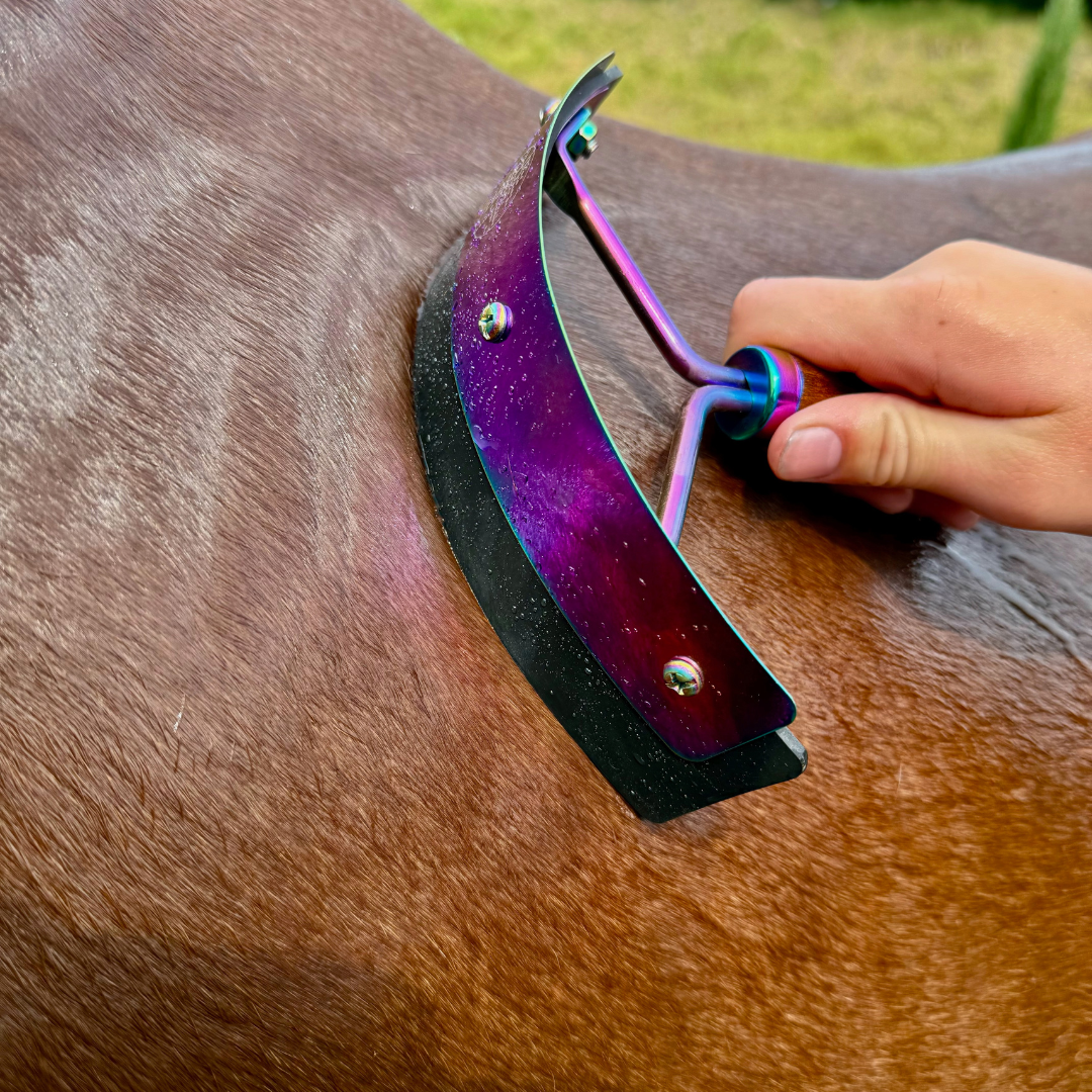 Hairy Pony Rainbow Mini Sweat Scraper