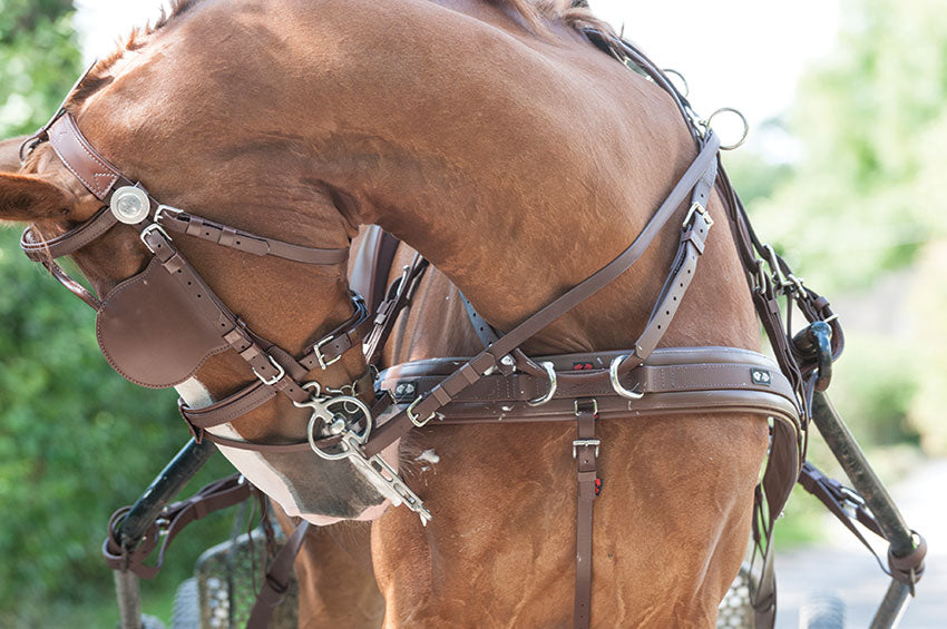 Zilco Brun Single Harness Pony