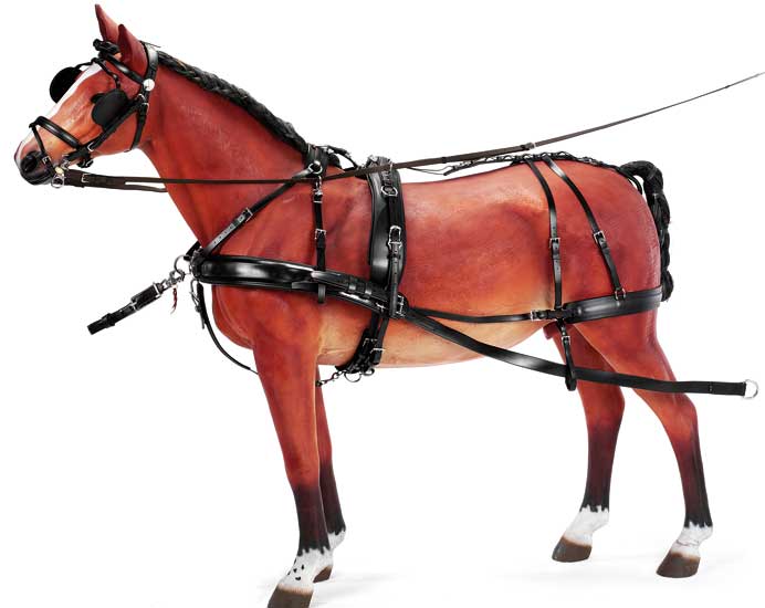 Zilco Elite Pairs Harness Cob