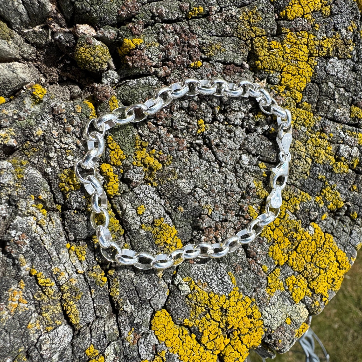 Whistle &amp; Pop Oval Rolo 6.2mm Bracelet