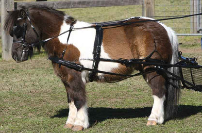 Zilco SL Single Harness Shetland