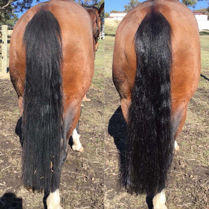 Hairy Pony 2 in 1 Detangle &amp; Shine Spray