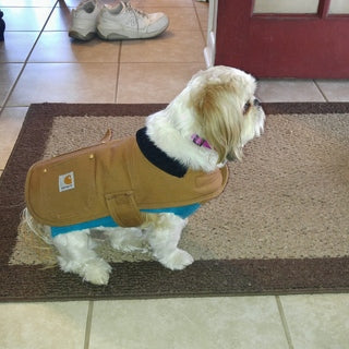Carhartt Chore Dog Coat in Black