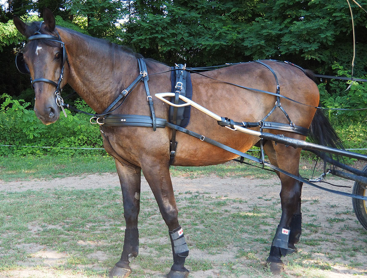 Zilco SL Plus Single Harness