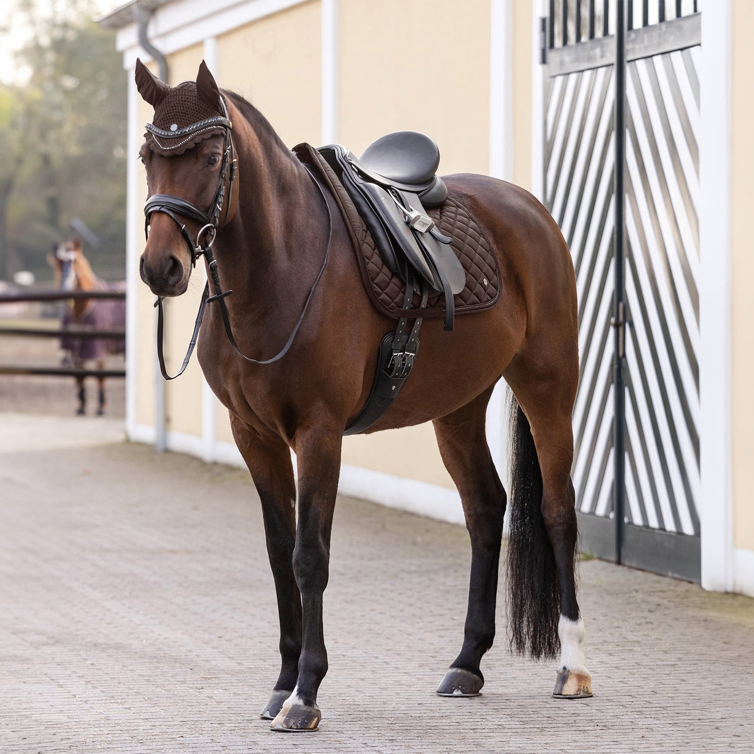 Waldhausen Bareback Pad Grijs/Rood Geruit