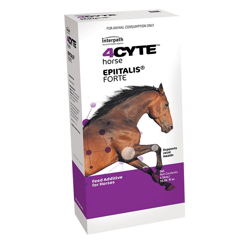 4Cyte Equine Gel