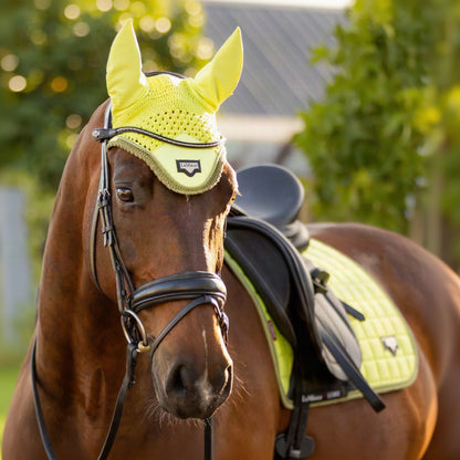 LeMieux Loire Fly Hood Kiwi lifestyle
