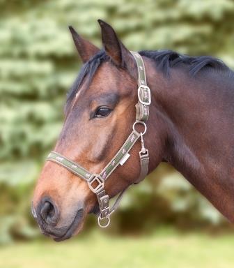 Waldhausen Halter Little Horses