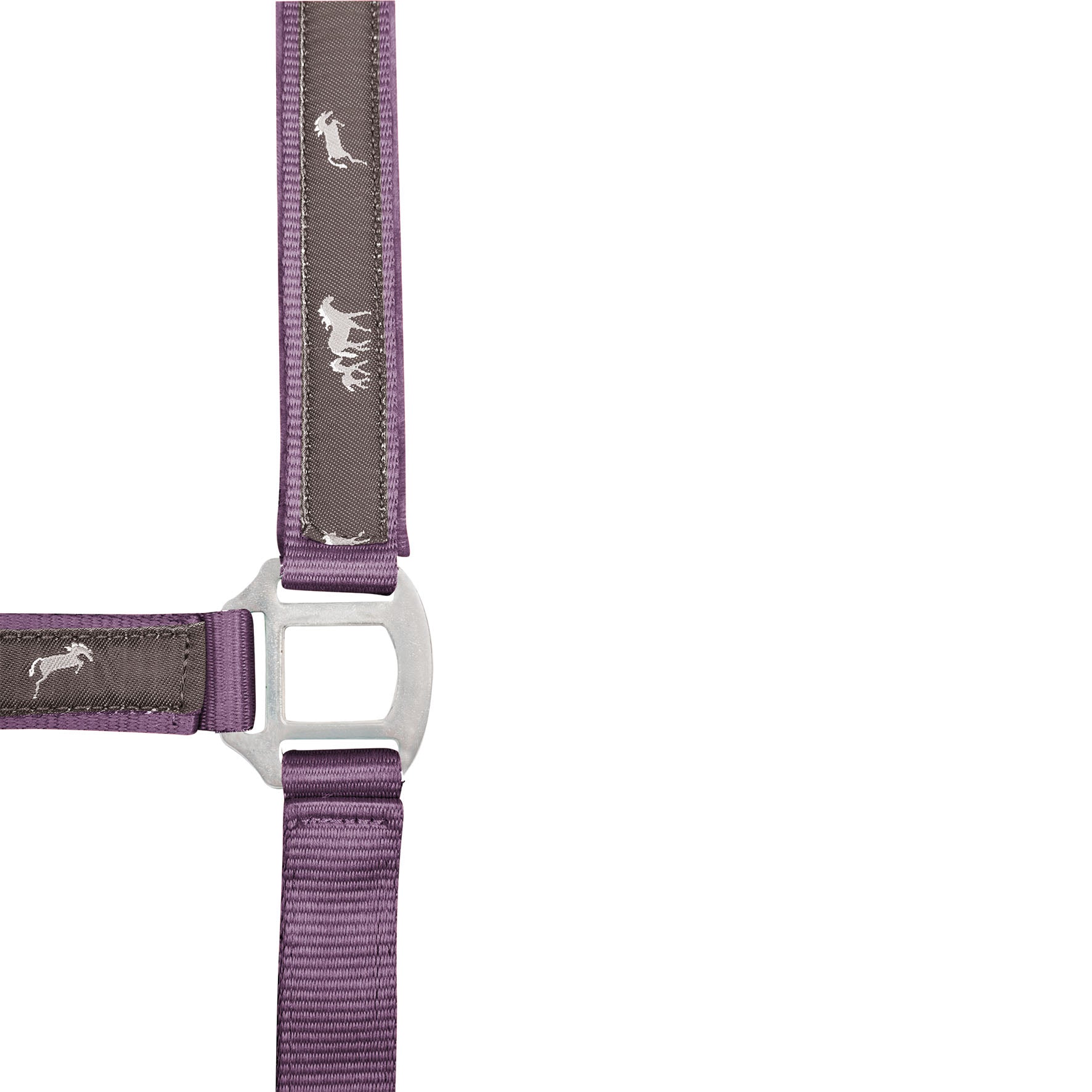 Waldhausen Halter Little Horses