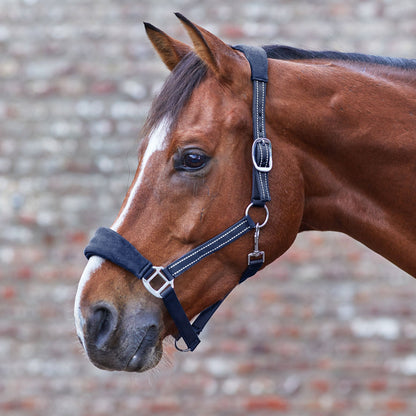 Waldhausen Halter Alcantara