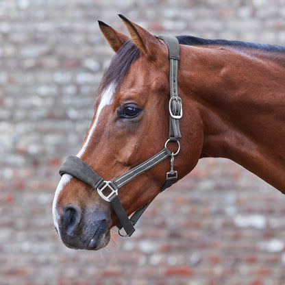 Waldhausen Halter Alcantara