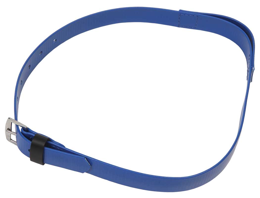 Zilco Pony Trot Neck Strap Royal Blue