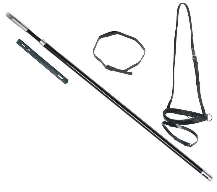 Zilco Lugging Pole Set Complete Black