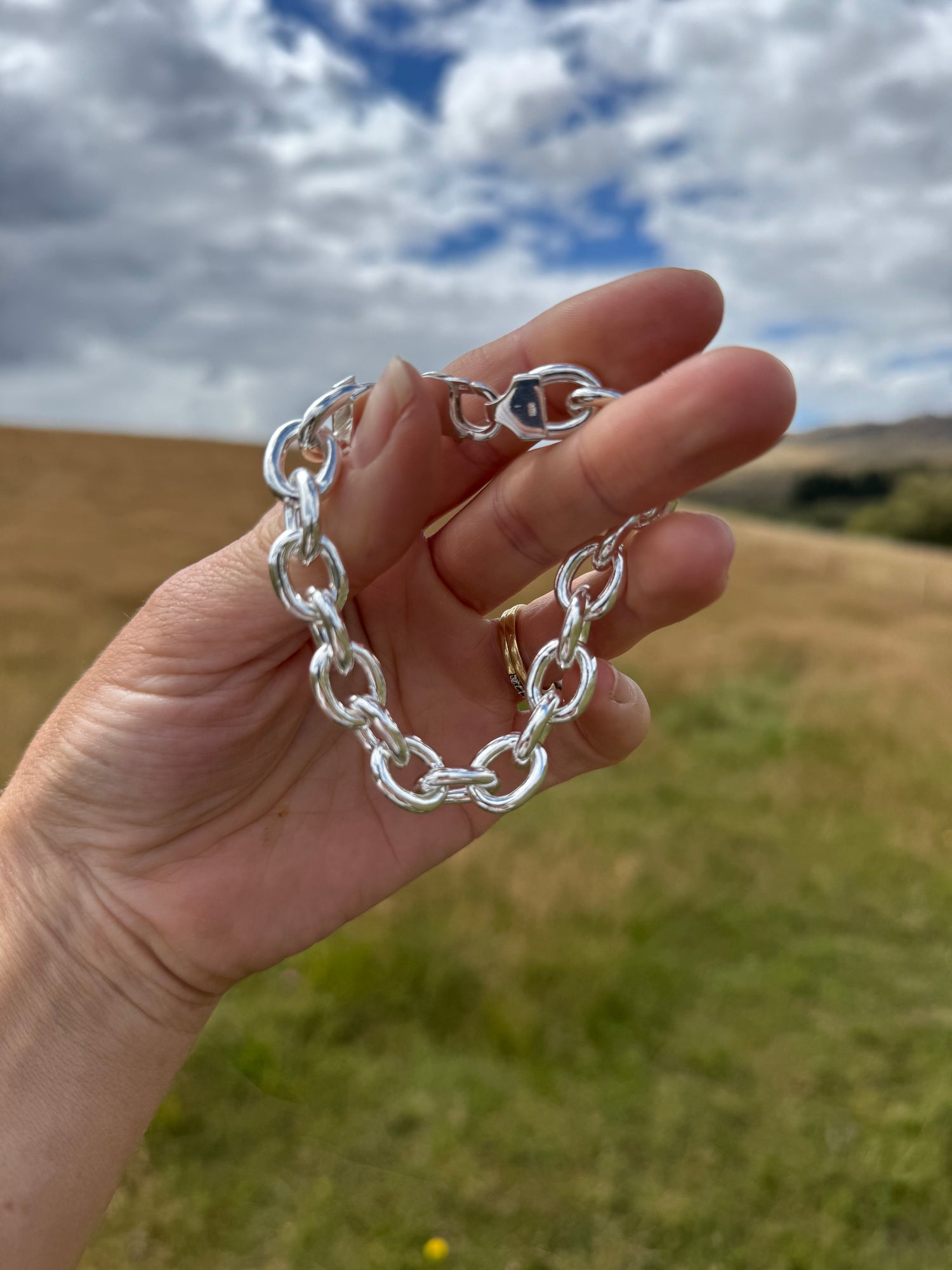 Whistle &amp; Pop Buckle Up Bracelet