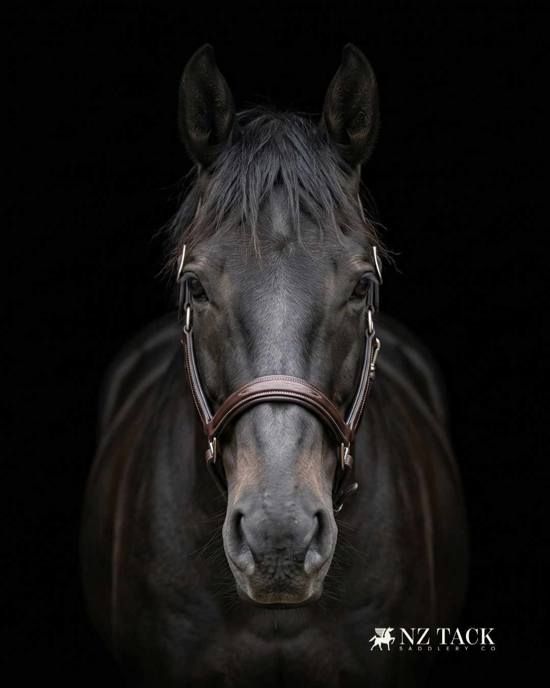 NZ Tack Padded Leather Halter