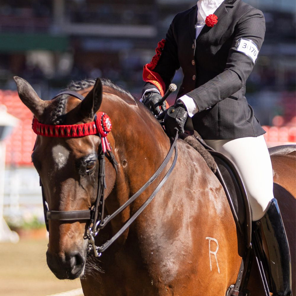 BARE Equestrian Competition Wear Tights